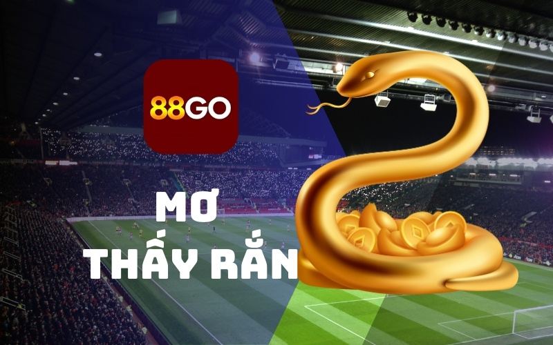 Mơ thấy rắn - Đổi đời nhanh chóng nhờ con số may mắn 1 mo-thay-ran